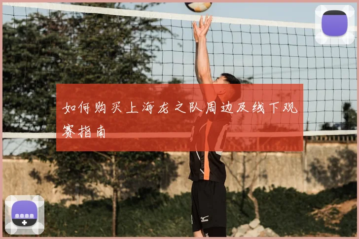 如何购买上海龙之队周边及线下观赛指南