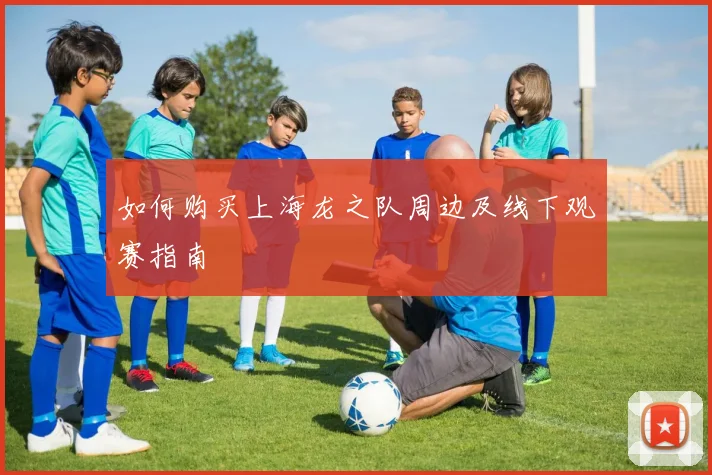 如何购买上海龙之队周边及线下观赛指南