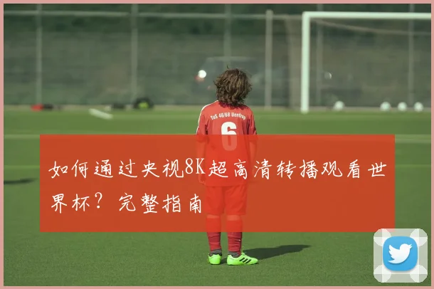 如何通过央视8K超高清转播观看世界杯?完整指南